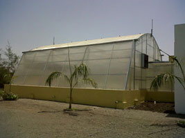 Green House